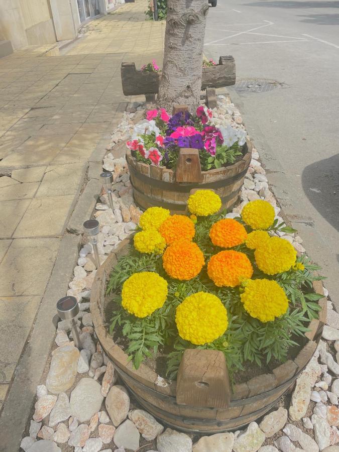 Family Hotel Morska Zvezda Balchik Esterno foto